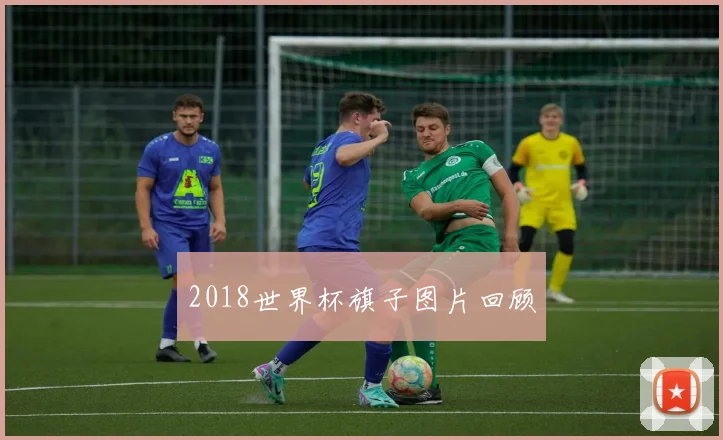 2018世界杯旗子图片回顾